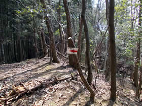 宮山