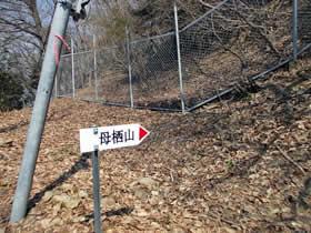 母栖山