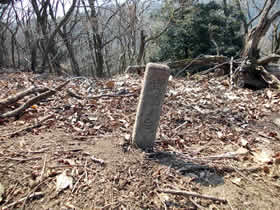 母栖山