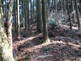 母栖山