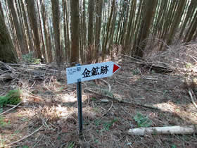 母栖山