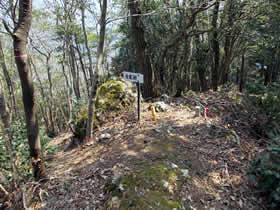 母栖山