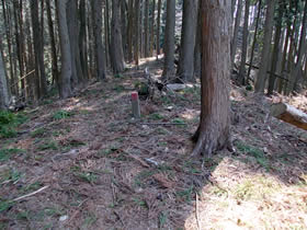 母栖山