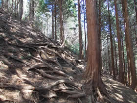 千ヶ峰