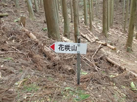 花咲山