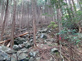 花咲山