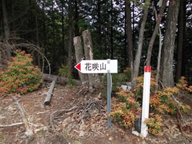 花咲山