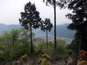 花咲山