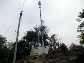 花咲山