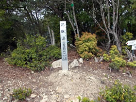 花咲山