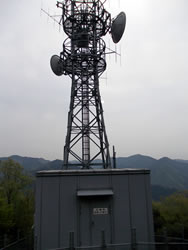 花咲山