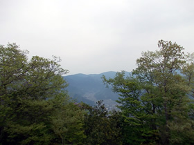 花咲山