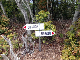 花咲山