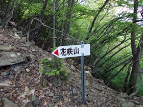 花咲山