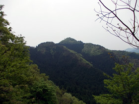 花咲山