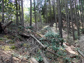 白山