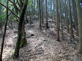 白山