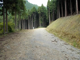 三国岳