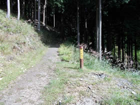 東山
