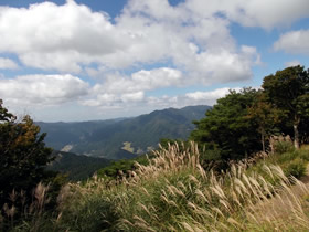 東山