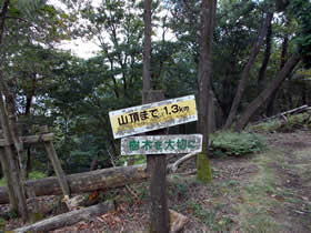 東山