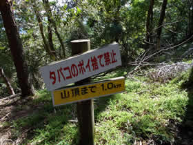 東山