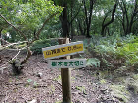 東山