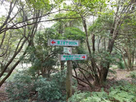 東山