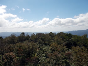 東山