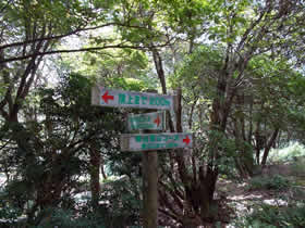 東山