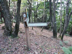 東山
