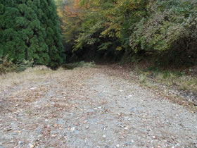 藤無山