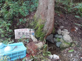 藤無山