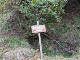 藤無山