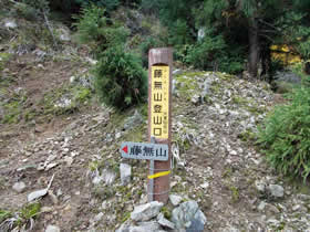 藤無山