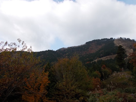 藤無山