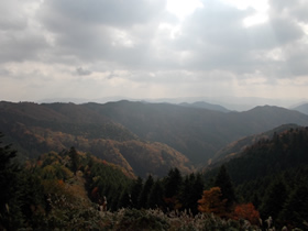 藤無山