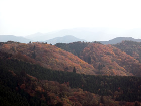 藤無山