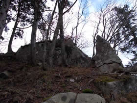 藤無山