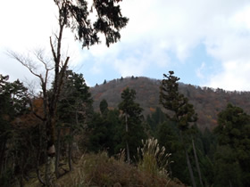 藤無山