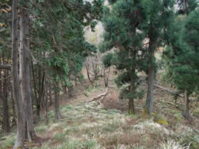 藤無山
