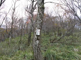 藤無山