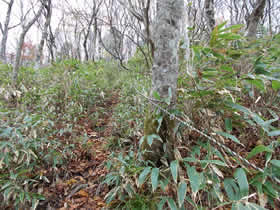 藤無山