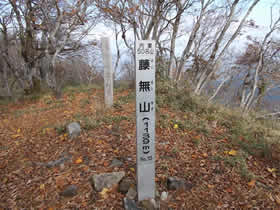 藤無山