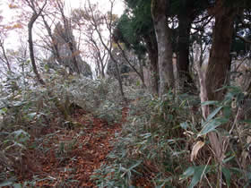 藤無山
