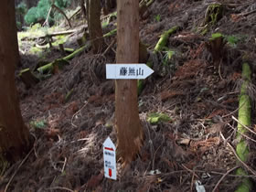 藤無山