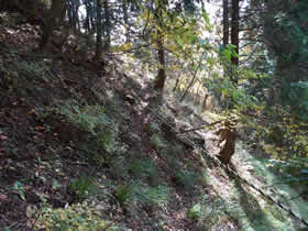 藤無山