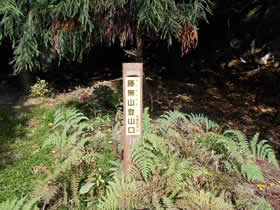 藤無山