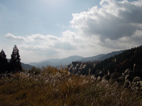 藤無山