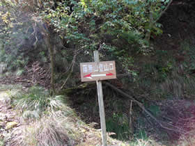 藤無山